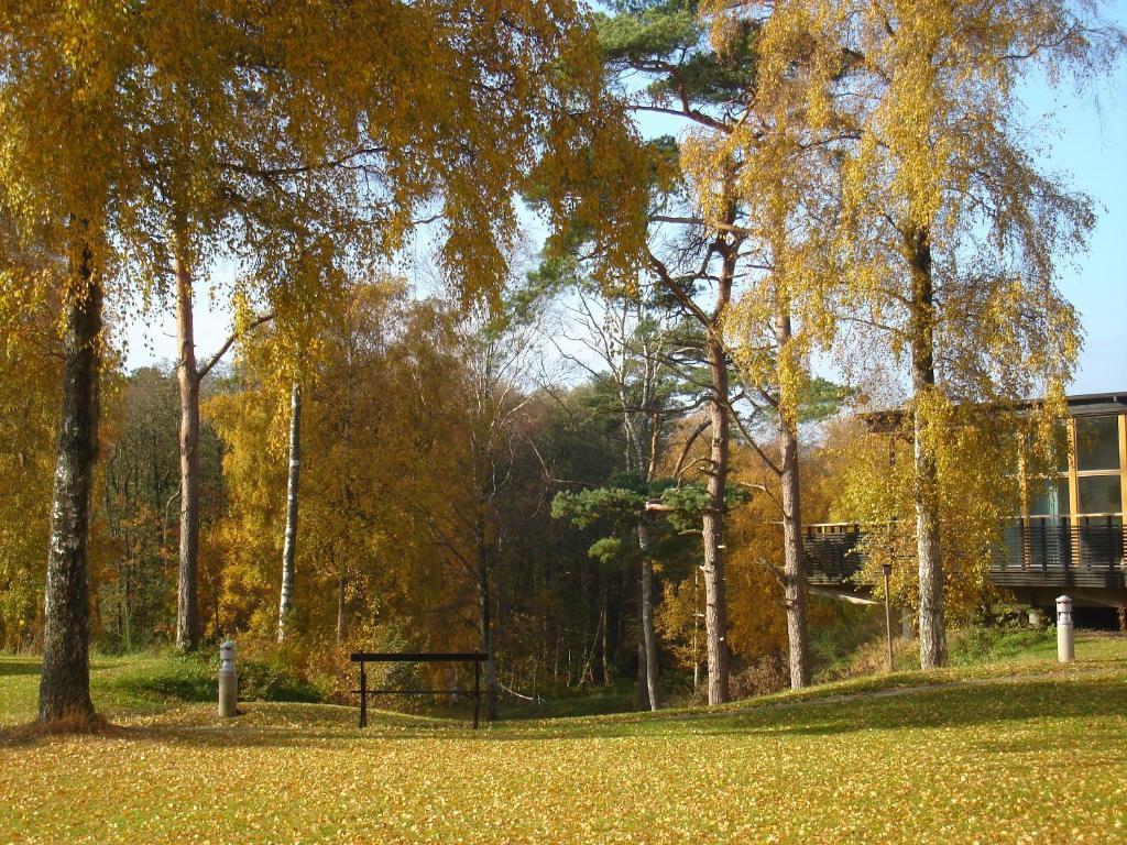 Tylebaeck & Konferens, Bw Signature Collection 3* Halmstad